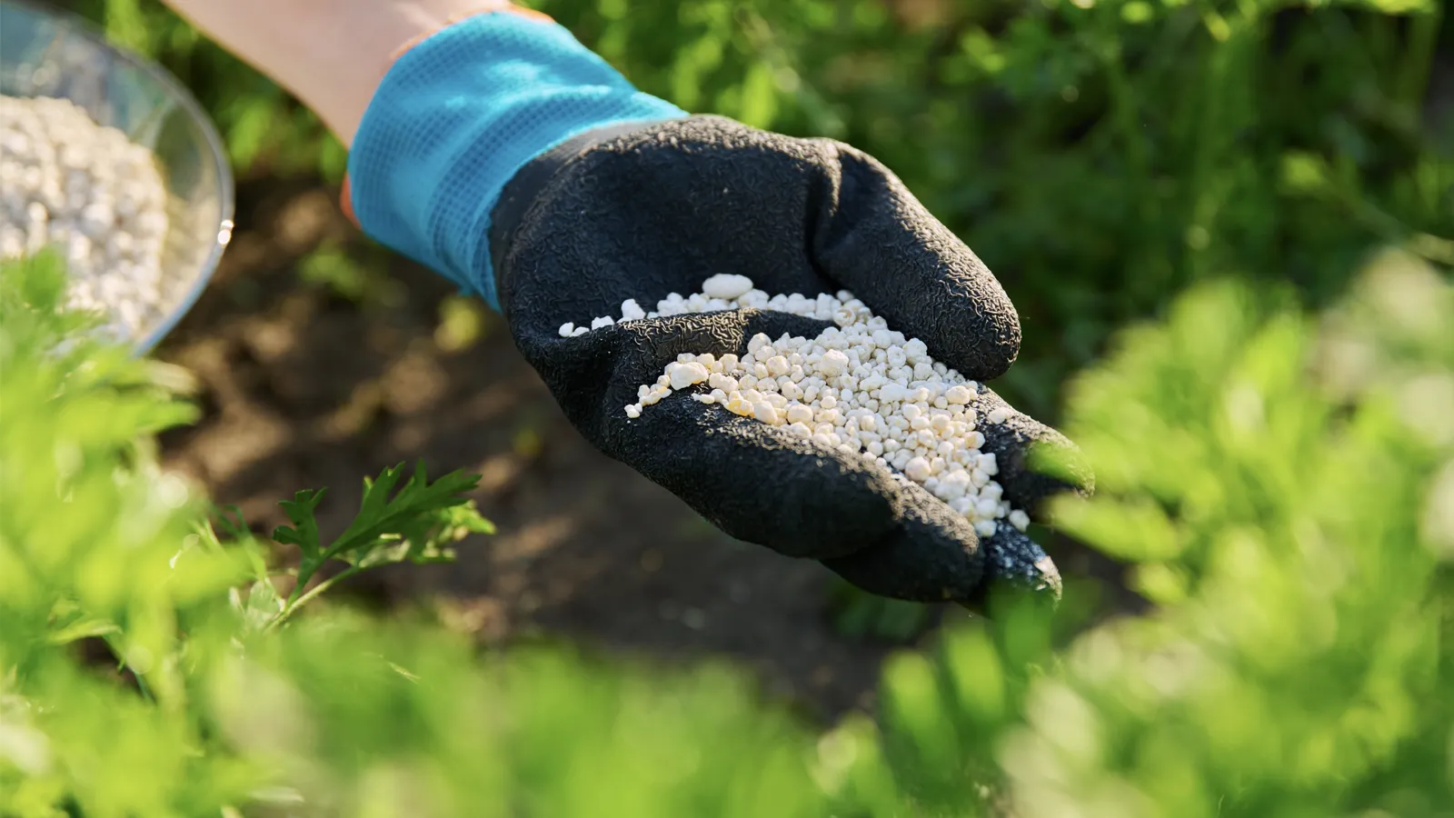 Fertiliser plant, heavy duty downstream processing