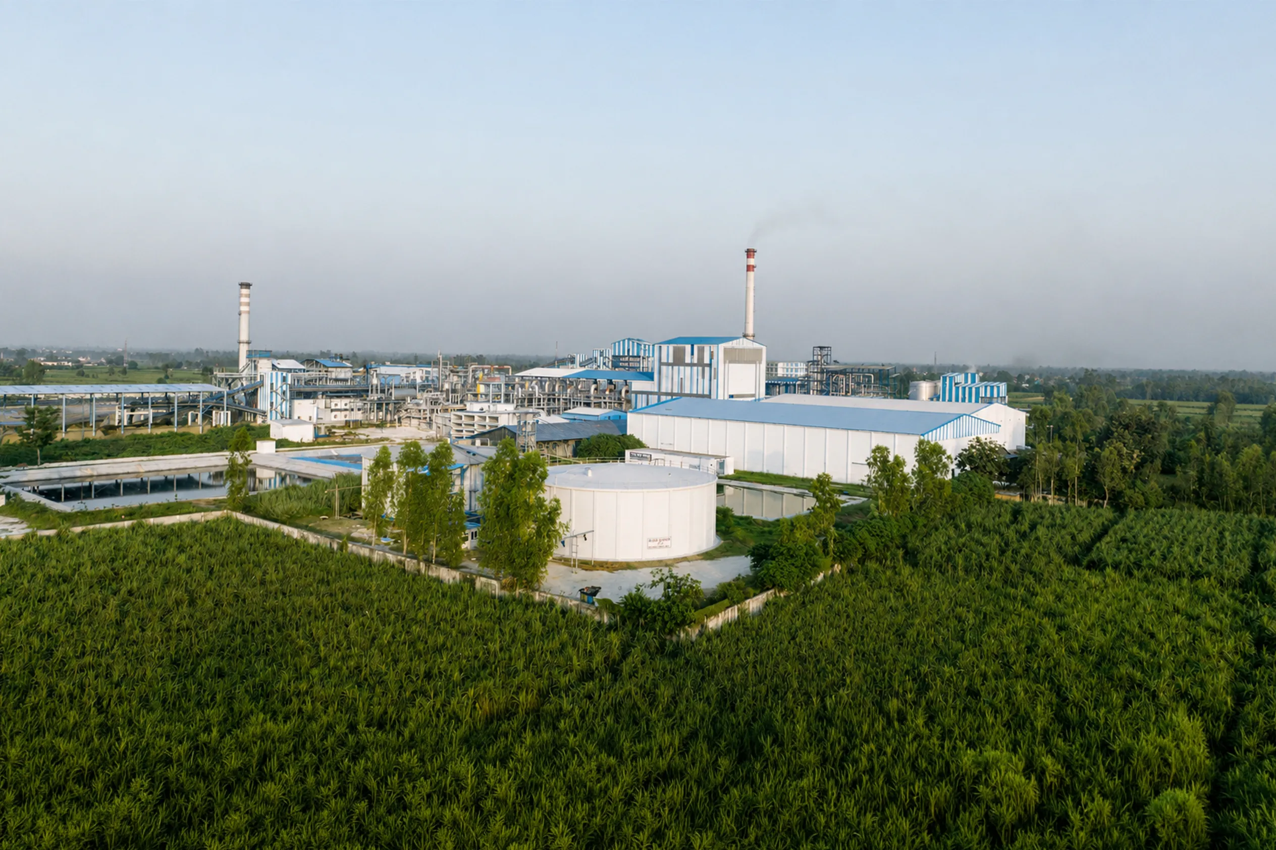 Sugar Distillery